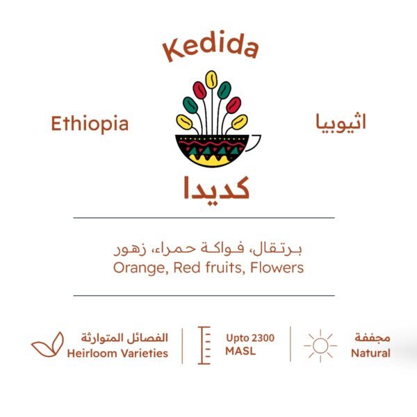 ⁦اثيوبيا كديدا - قهوة خضراء غير محمصة⁩ - الصورة ⁦2⁩